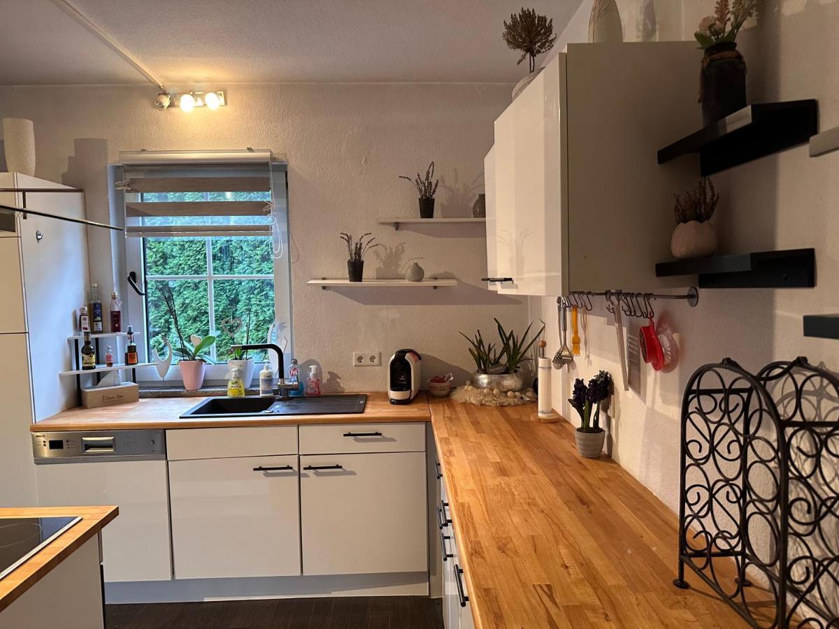 4 Zimmer 11 Personen Wohnung Garten Terrasse Grill 2 Badezimmer Wuppertal Esterno foto